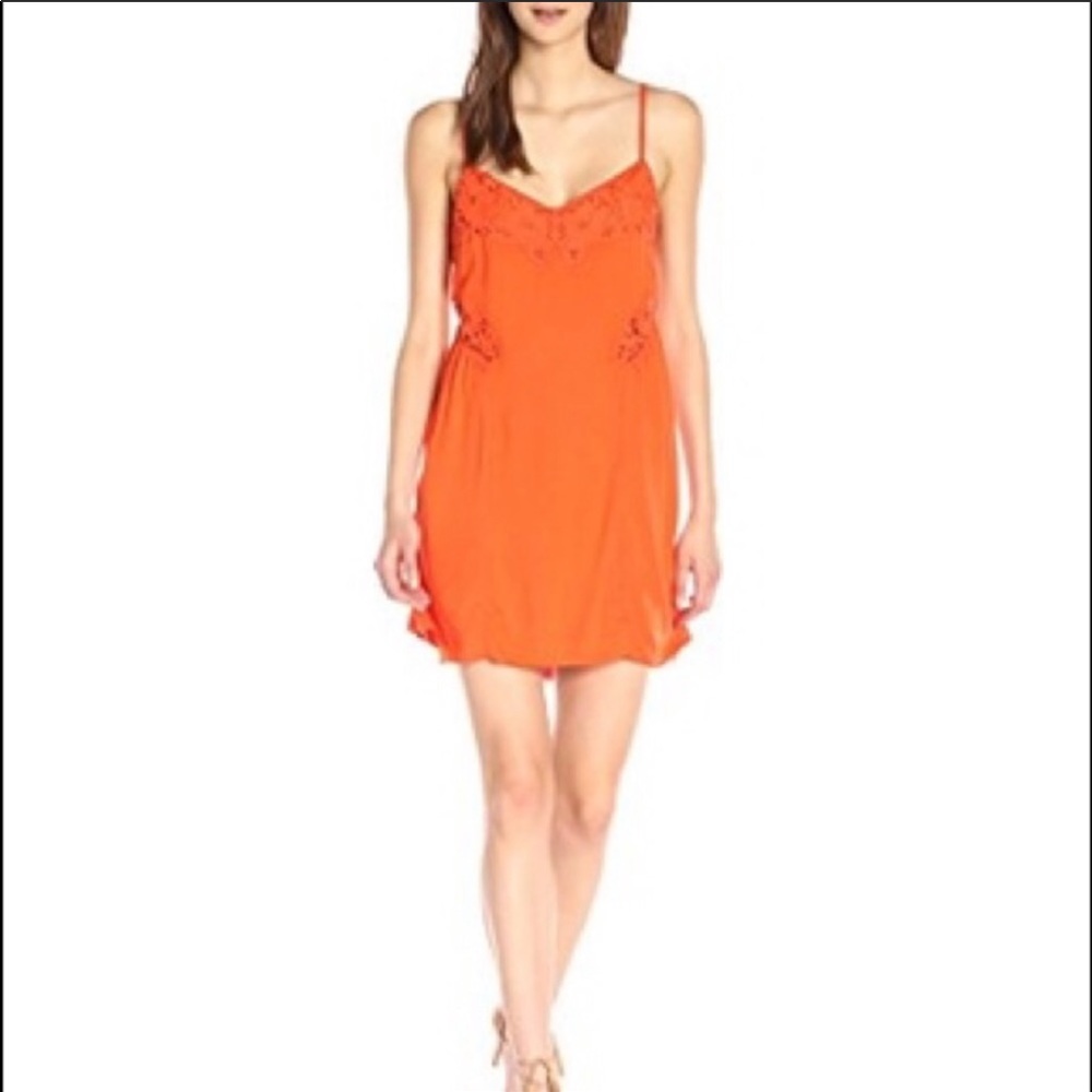 Brand new dress Sanctuary medium